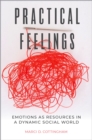 Image for Practical Feelings: Emotions as Resources in a Dynamic Social World
