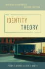 Image for Identity theory