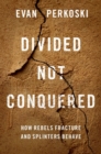 Image for Divided not conquered  : how rebels fracture and splinters behave