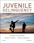 Image for Juvenile delinquency  : causes and control