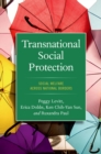 Image for Transnational Social Protection: Social Welfare Across National Borders