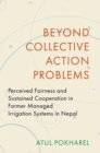 Image for Beyond collective action problems  : perceived fairness and sustained cooperation in farmer managed irrigation systems in nepal
