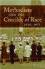 Image for The crucible of race: black/white relations in the American South since emancipation