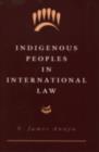 Image for Indigenous peoples in international law