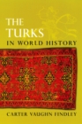 Image for The Turks in world history