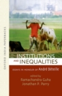 Image for Institutions and Inequalities: Institutions and Inequalities : Essays in Honour of Andre Beteille
