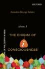 Image for Aham: I  : the enigma of i-consciousness