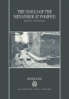 Image for The Insula of the Menander at Pompeii: Volume 1: The Structures