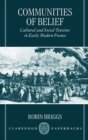 Image for Communities of belief  : cultural and social tension in early modern France