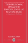 Image for The International Covenant on Economic, Social and Cultural Rights  : a perspective on its development