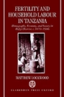 Image for Fertility and Household Labour in Tanzania : Demography, Economy, and Society in Rufiji District, c.1870-1986