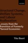 Image for Structural change, welfare systems, and labour reallocation  : lessons from the transition of formerly planned economies
