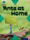 Image for Project X Origins: Lime Book Band, Oxford Level 11: Underground: Ants at Home