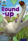 Image for Round-up