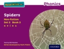 Image for Read Write Inc. Phonics: Spiders (Purple Set 2 Non-fiction 2)