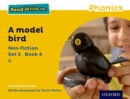 Image for A model bird