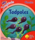 Image for Oxford Reading Tree Songbirds Phonics: Level 4: Tadpoles