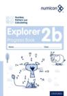 Image for Numicon: Number, Pattern and Calculating 2 Explorer Progress Book B (Pack of 30)