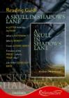 Image for Rollercoasters: A Skull in Shadows Lane Reading Guide