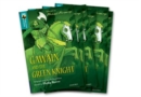 Image for Oxford Reading Tree TreeTops Greatest Stories: Oxford Level 16: Gawain and the Green Knight Pack 6
