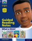 Image for Project X Origins: Purple Book Band, Oxford Level 8: What a Stink!: Guided reading notes
