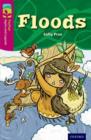 Image for Oxford Reading Tree TreeTops Myths and Legends: Level 10: Floods