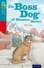 Image for The boss dog of Blossom Street