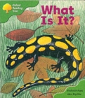 Image for Oxford Reading Tree: Stage 2: More Patterned Stories: What is It?: Pack A