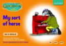 Image for Read Write Inc. Phonics: Orange Set 4 Storybooks: My Sort of Horse