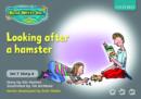 Image for Read Write Inc. Phonics: Grey Set 7 Storybooks: Looking After a Hamster