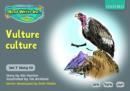 Image for Read Write Inc. Phonics: Grey Set 7 Storybooks: Vulture Culture