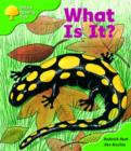 Image for Oxford Reading Tree: Stage 2: More Patterned Stories A: What is It?