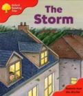 Image for Oxford Reading Tree: Stage 4: Storybooks: the Storm