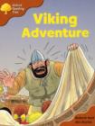 Image for Oxford Reading Tree: Stage 8: Storybooks: Viking Adventure