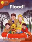 Image for Oxford Reading Tree: Stage 8: More Storybooks A: Flood!