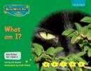 Image for Read Write Inc. Phonics: Non-fiction Set 1 (Green): What am I?