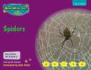 Image for Read Write Inc. Phonics: Non-fiction Set 2 (Purple): Spiders
