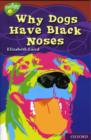 Image for Why dogs have black noses