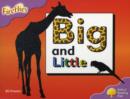 Image for Oxford Reading Tree: Level 1+: Fireflies: Big and Little
