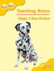 Image for Oxford Reading Tree: Level 5: Fireflies: Teaching Notes