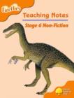 Image for Oxford Reading Tree: Level 6: Fireflies: Teaching Notes