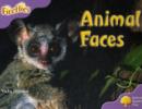 Image for Oxford Reading Tree: Level 1+: More Fireflies A: Animal Faces
