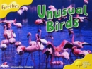 Image for Unusual birds