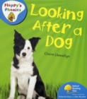 Image for Oxford Reading Tree: Stage 3: Floppy&#39;s Phonics Non-fiction: Looking After a Dog