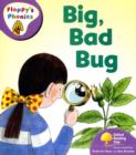 Image for Oxford Reading Tree: Stage 1+: More Floppy&#39;s Phonics: Big Bad Bug