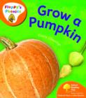 Image for Oxford Reading Tree: Stage 6: Floppy&#39;s Phonics Non-fiction: Grow a Pumpkin