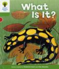 Image for Oxford Reading Tree: Level 2: More Patterned Stories A: What Is It?