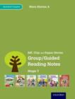 Image for Group/guided reading notes