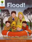Image for Oxford Reading Tree: Level 8: More Stories: Flood!