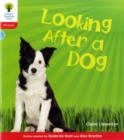 Image for Looking after a dog